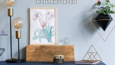 pyntekvister