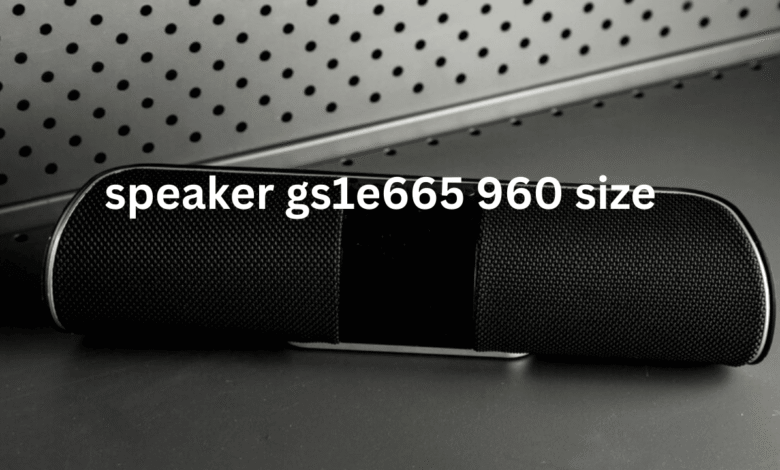 speaker gs1e665 960 size
