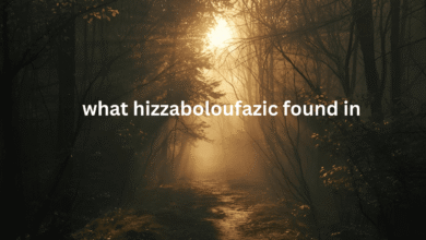 what hizzaboloufazic found in