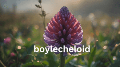 boylecheloid