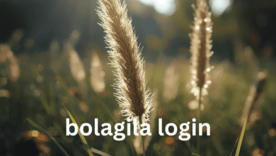 bolagila login