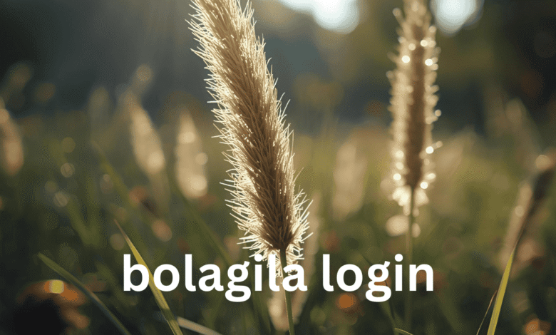 bolagila login